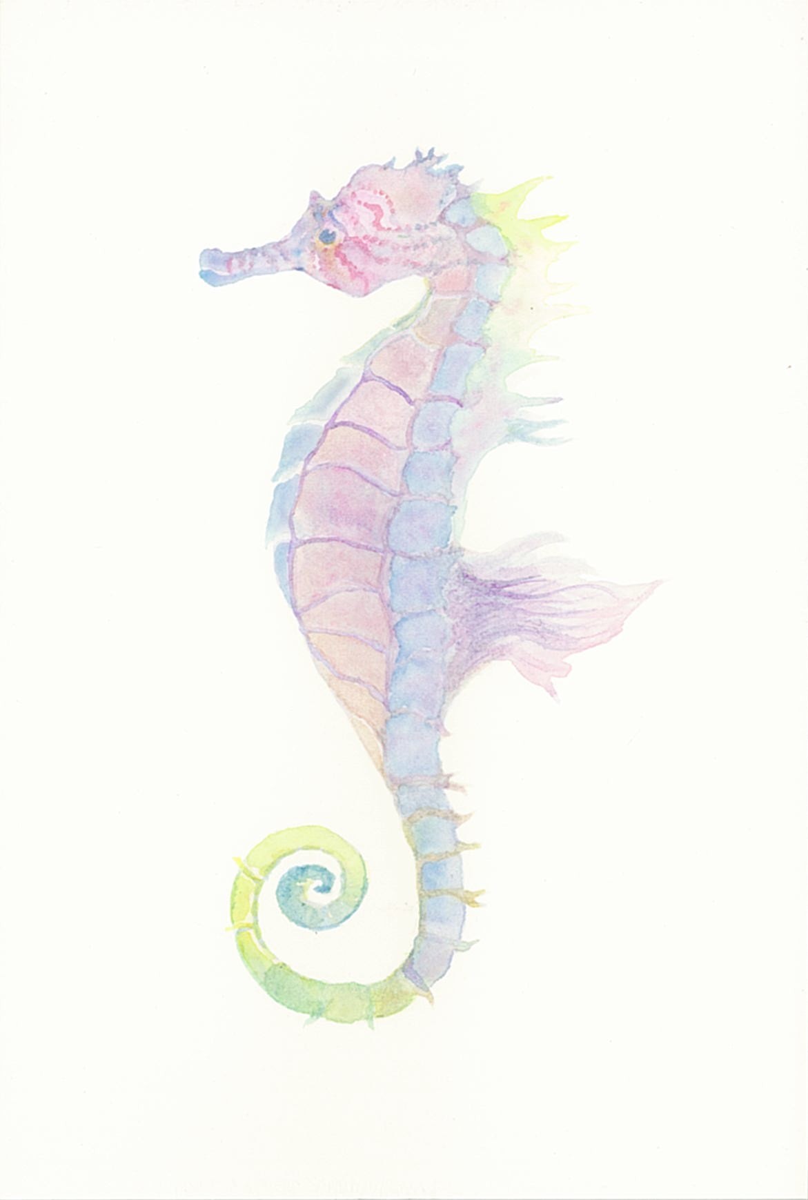 little summer amu